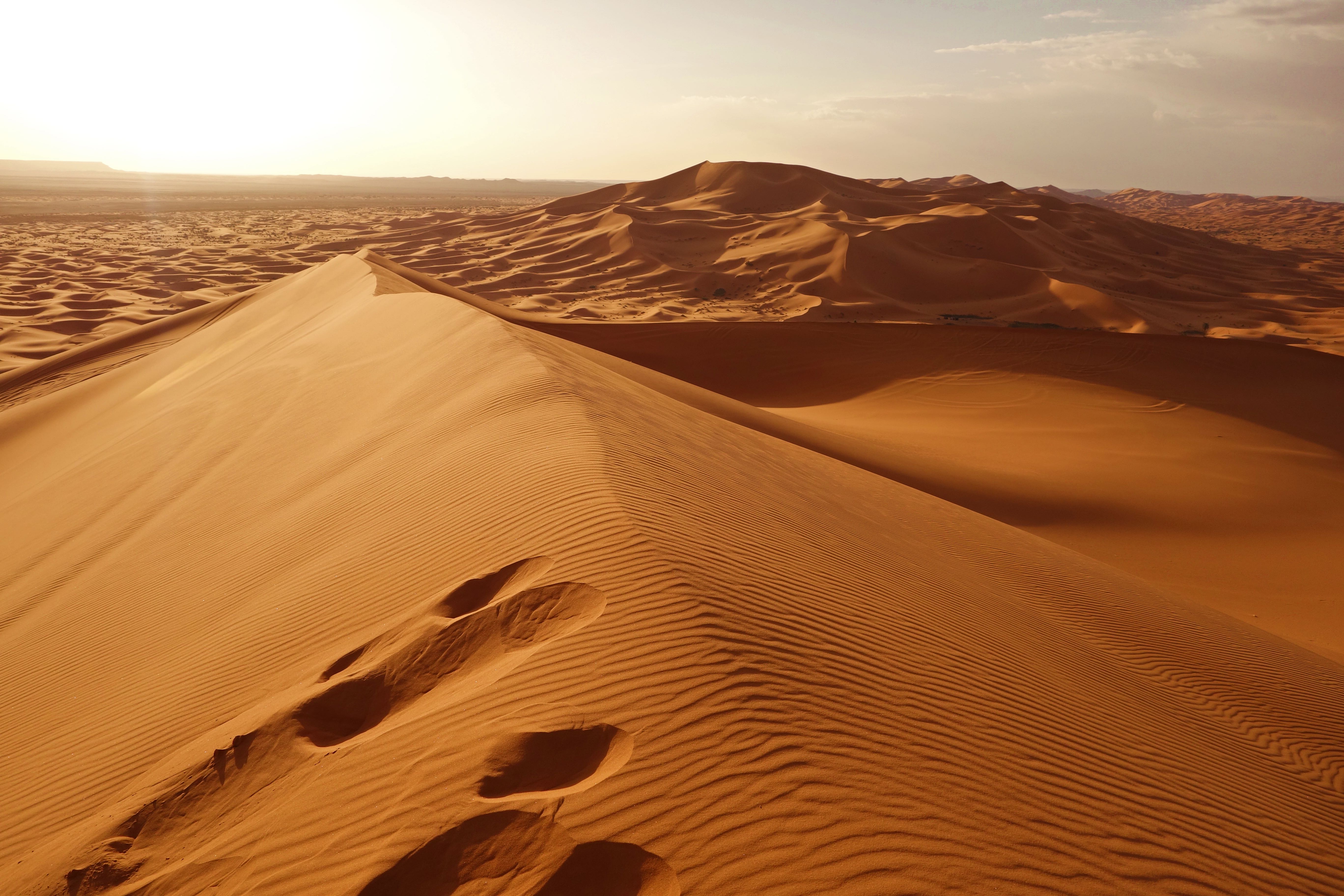 Sahara wüste